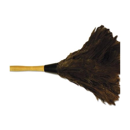 PINPOINT BWK Professional Ostrich Feather Duster with Wood Handle; Brown - 14 in. PI22361